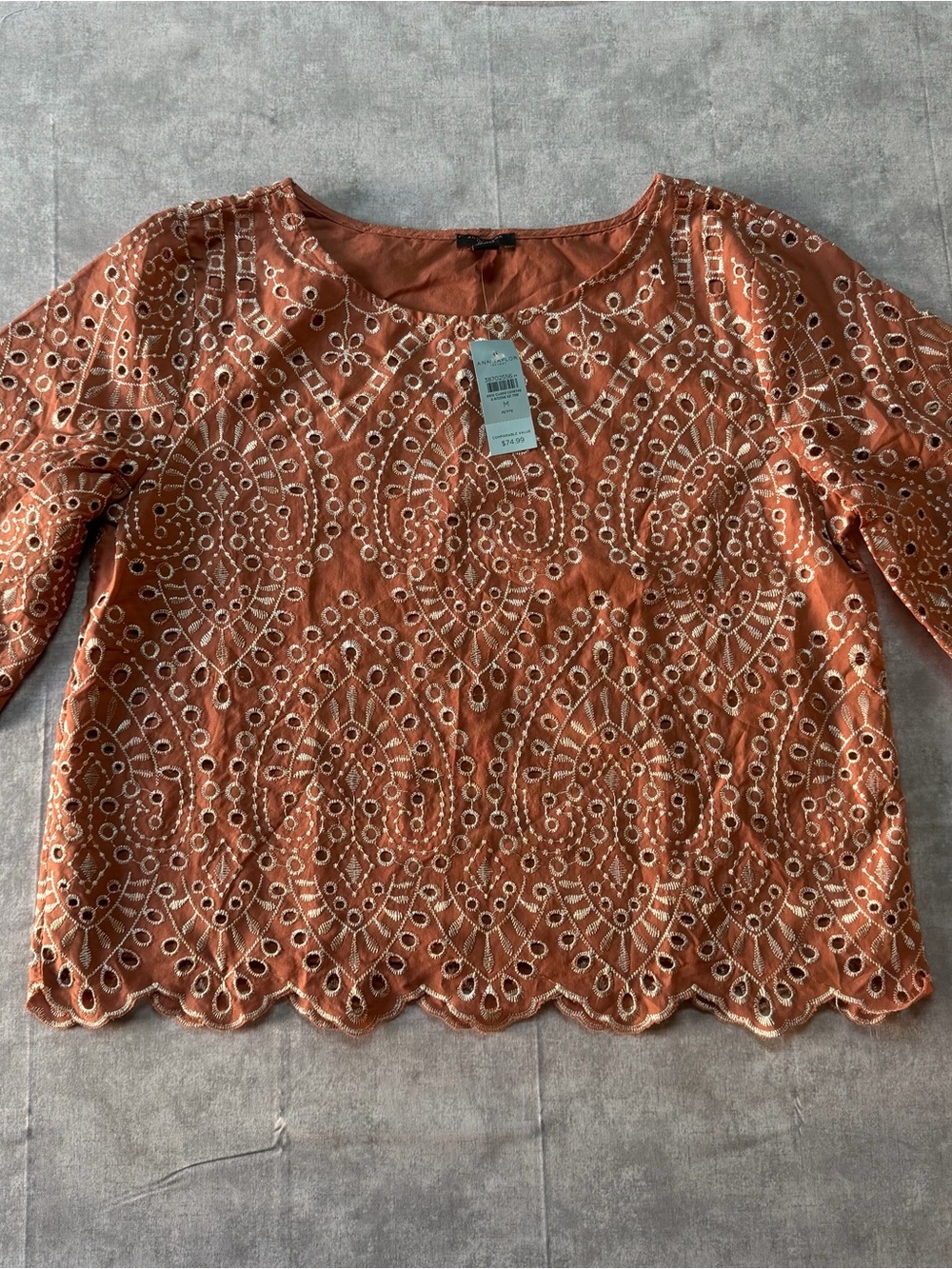 Ann Taylor Rust Eyelet Embroidered Blouse
